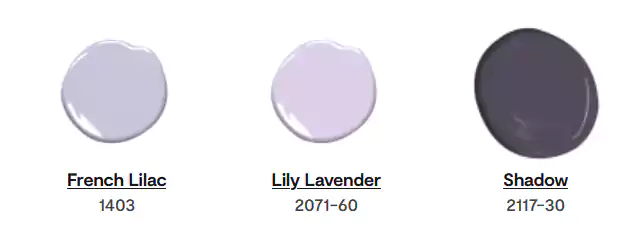 Color Swatches