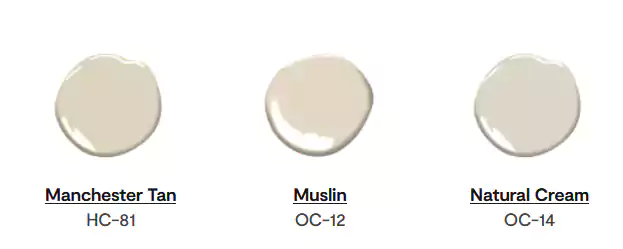 Color Swatches