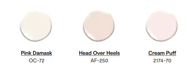 Color Swatches