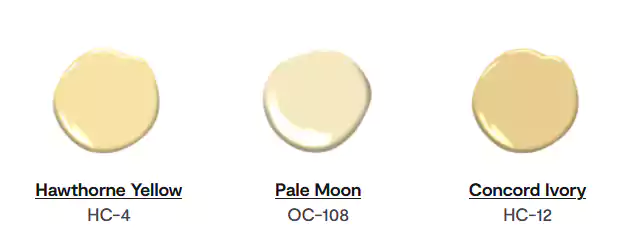 Color Swatches