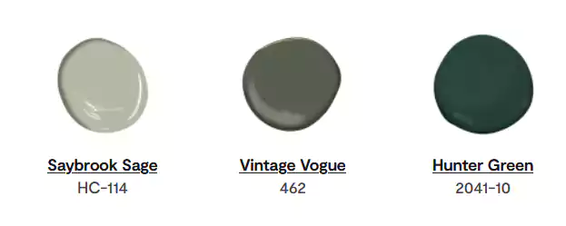 Color Swatches